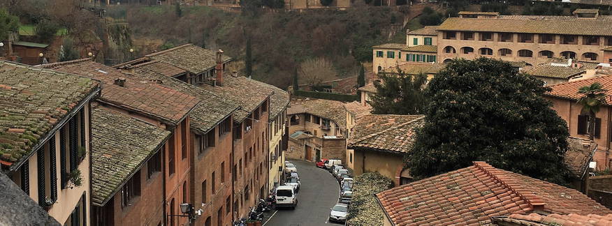 Cover for Siena Walks 13: Nobile Contrada dell'Oca—the Goose