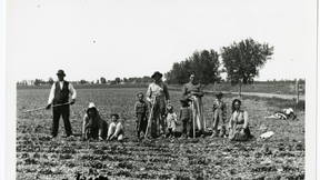 Thumbnail for The Immigrant Story