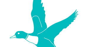 Thumbnail for Eugene, OR - Clearwater Park Tour