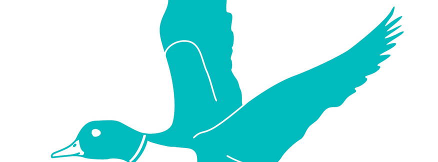 Cover for Eugene, OR - Hendricks Park Tour