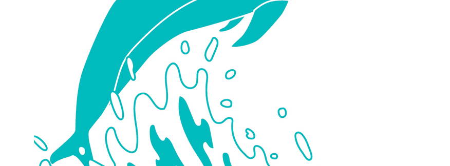 Cover for Galveston, TX - Seawall Tour