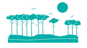 Thumbnail for 30A, FL - GRAYTEST Tour