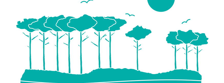 Cover for 30A, FL - GRAYTEST Tour