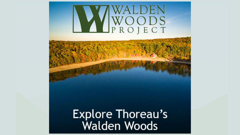 Thumbnail for Walden Woods