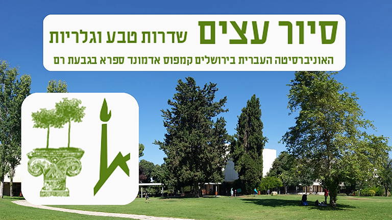 Thumbnail for סיור עצים