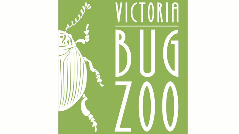 Thumbnail for Victoria Bug Zoo