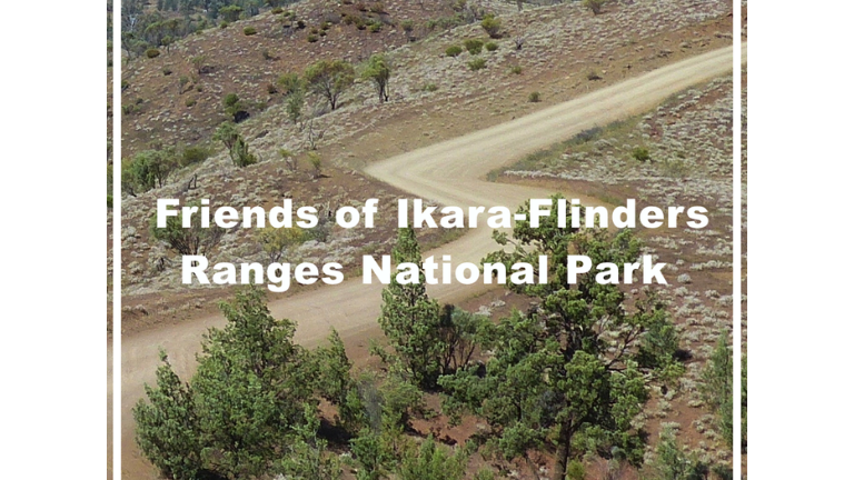 Thumbnail for Discover the Flinders Ranges