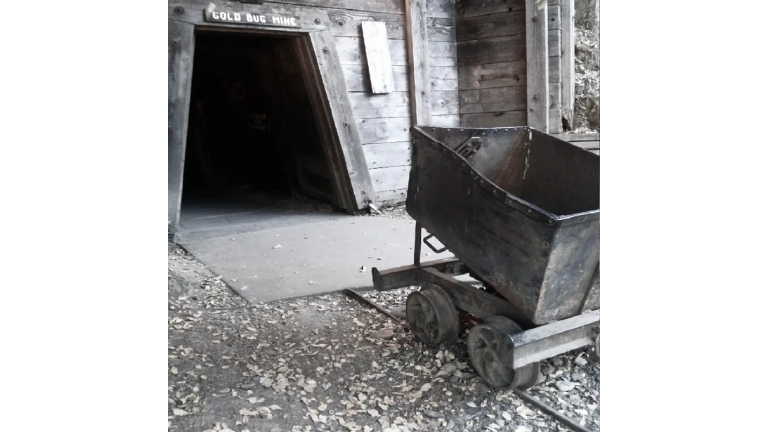 Thumbnail for Gold Bug Park