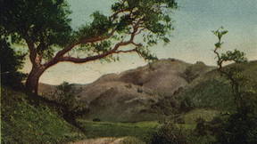 Thumbnail for Strawberry Creek, UCB