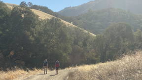 Thumbnail for Mount Diablo Falls