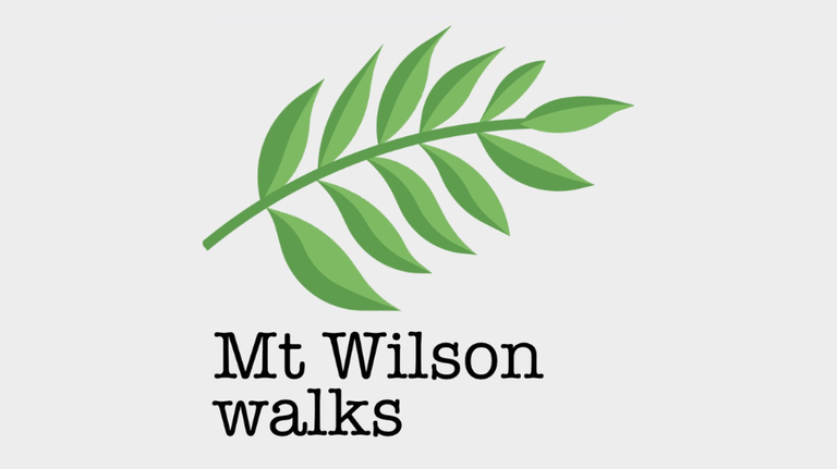 Thumbnail for Mt Wilson Village Walk