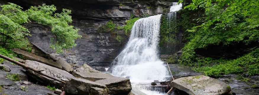 Cover for Exploring Syracuse: Wellness