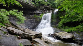 Thumbnail for Exploring Syracuse: Wellness