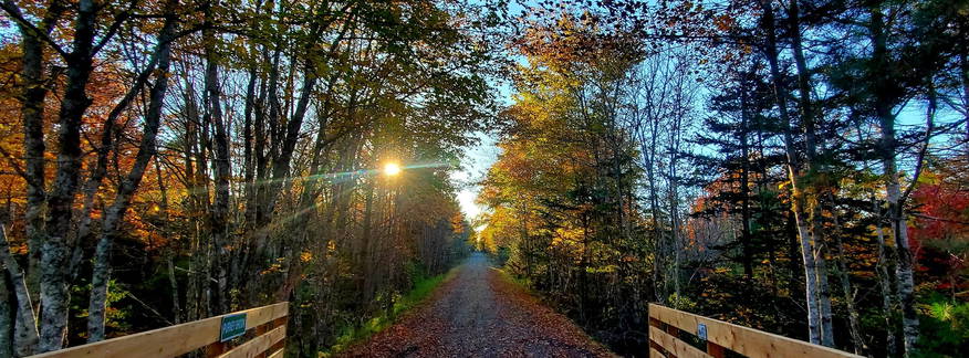 Cover for Shelburne County Trans Canada Rail trail