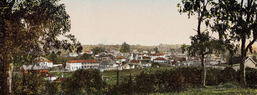 Cover for Pukekohe History Walk