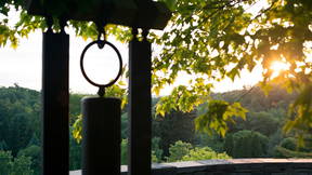 Thumbnail for Cornell Botanic Gardens: Arboretum Loop #1