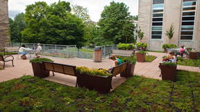 Thumbnail for Sustainable Landscapes Trail