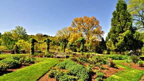 Thumbnail for Morris Arboretum Founding Treasures