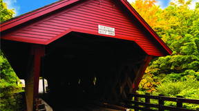 Thumbnail for Building Bridges - Traverse Tompkins