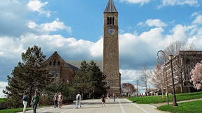 Thumbnail for Cornell Fun Sights