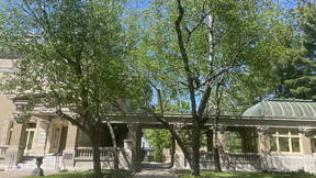 Thumbnail for The Beardsley Avenue District Tree Tour