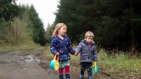 Thumbnail for Blanemore Forest Walk