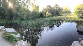 Thumbnail for Sørmarka