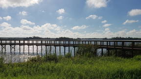 Thumbnail for Se7en Wetlands Gopher Tortoise Tour