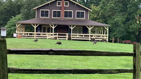 Thumbnail for Walking Tour of The Nature Institute