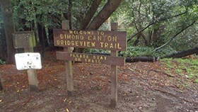 Thumbnail for Sausal Creek
