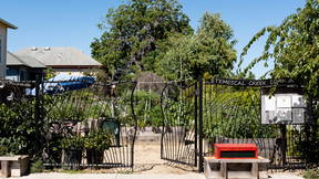 Thumbnail for Walking Waterhoods: Temescal Creek Park to Horton