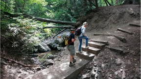 Thumbnail for Walking Waterhoods: Sausal Creek — Upper Dimond Park