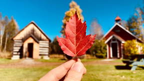 Thumbnail for Minden Hills Museum & Heritage Village Tour