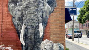Thumbnail for Downtown Murals