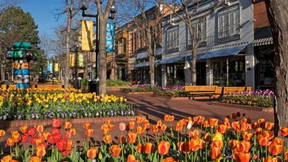 Thumbnail for Downtown Boulder