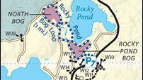 Thumbnail for Rocky Pond Cranberry Bogs - Self-Guided Interpretive Trail
