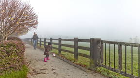 Thumbnail for Wainoni Park Redevelopment Guide