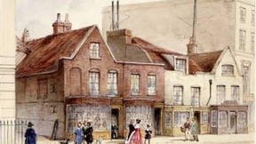 Thumbnail for Dr Pitcairn's Garden and the Wilson Estate