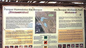 Thumbnail for Rio Bosque Wetlands Park: Winter Bird Tour