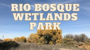 Thumbnail for Rio Bosque Wetlands Park Tour