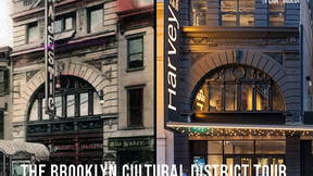 Thumbnail for Brooklyn Cultural District Tour, Part 1