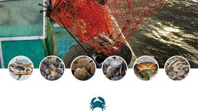 Thumbnail for Big Bend Shellfish Trail – Horseshoe Beach (Walking/Driving)
