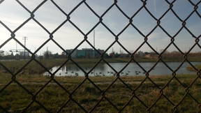 Thumbnail for Conner Creek greenway / Jefferson & Conner area