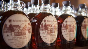 Thumbnail for Maple Syrup Festival