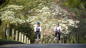 Thumbnail for Sequoyah Hills Dogwood Trail