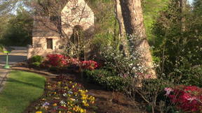 Thumbnail for Westmoreland Dogwood Trail