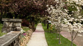 Thumbnail for Fountain City (East) Dogwood Trail