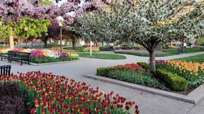 Thumbnail for Pella's Gorgeous Gardens