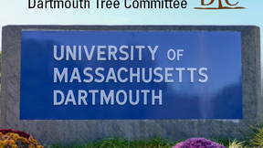 Thumbnail for Dartmouth Tree Walk Tour #2: UMASS Dartmouth Campus