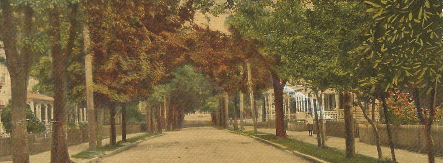 Cover for DISCOVERING DOWNTOWN SUFFOLK'S HISTORIC "NEW TOWN" NEIGHBORHOOD
